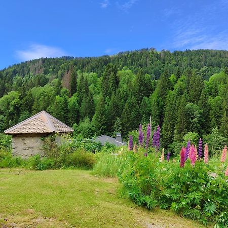Appartement Meuble Classe 3 Etoiles De 72 M2, 2 Chambres Morzine Exteriér fotografie