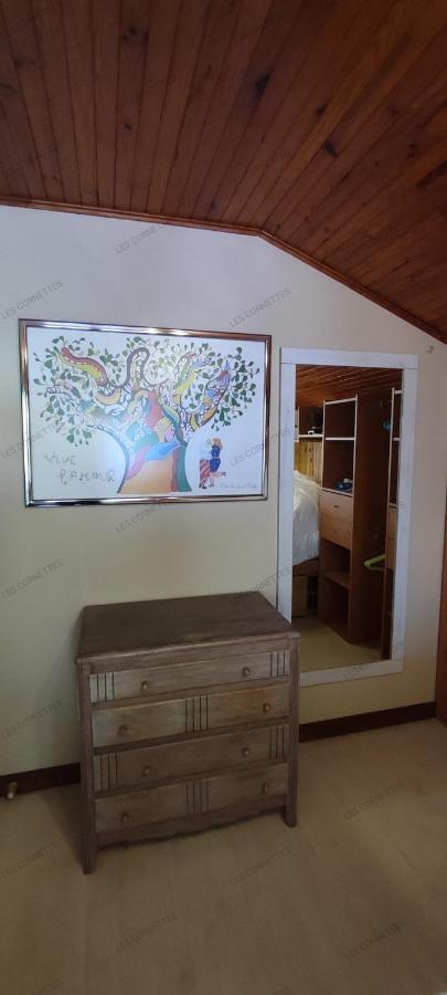 Appartement Meuble Classe 3 Etoiles De 72 M2, 2 Chambres Morzine Exteriér fotografie