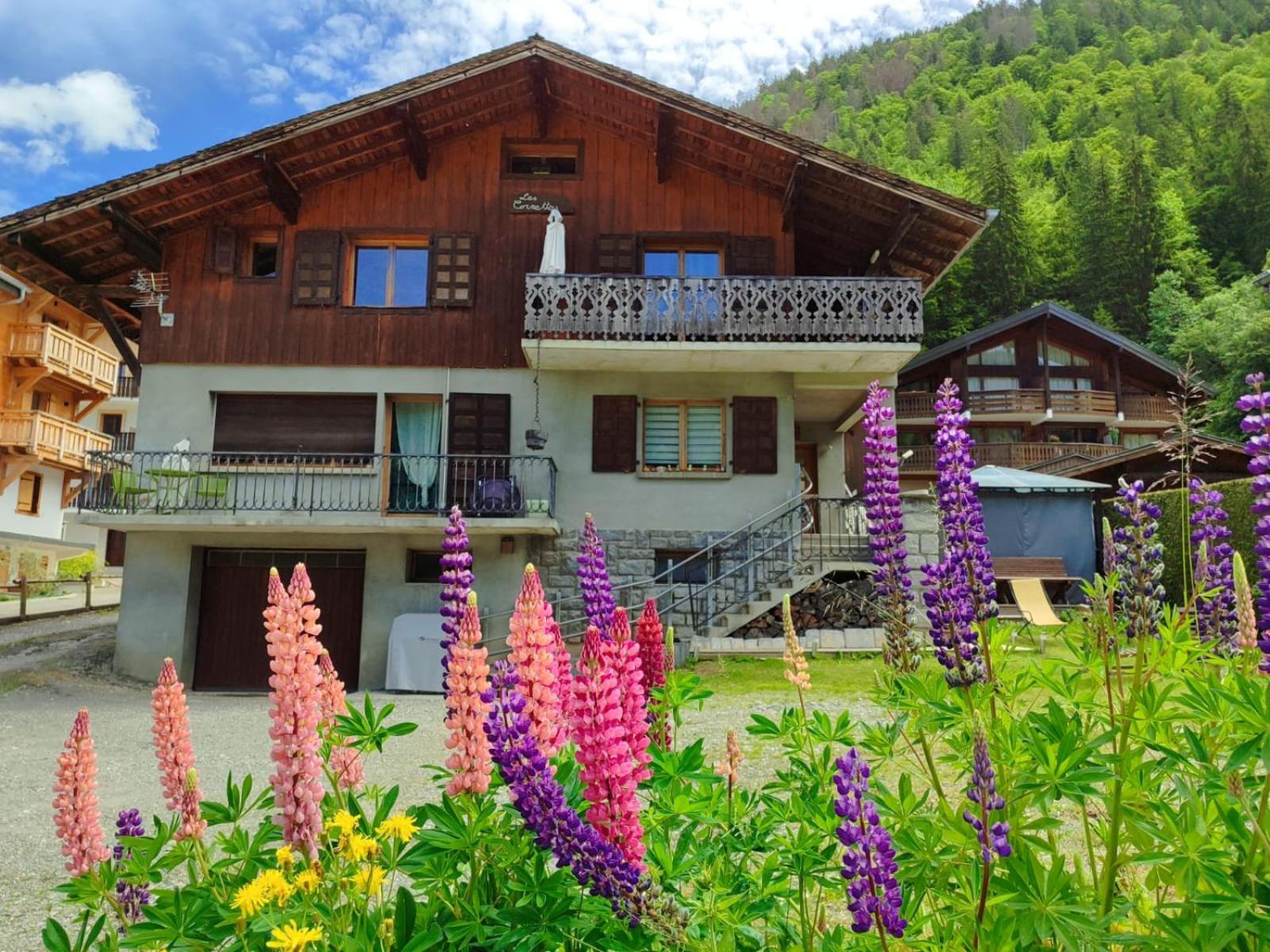 Appartement Meuble Classe 3 Etoiles De 72 M2, 2 Chambres Morzine Exteriér fotografie