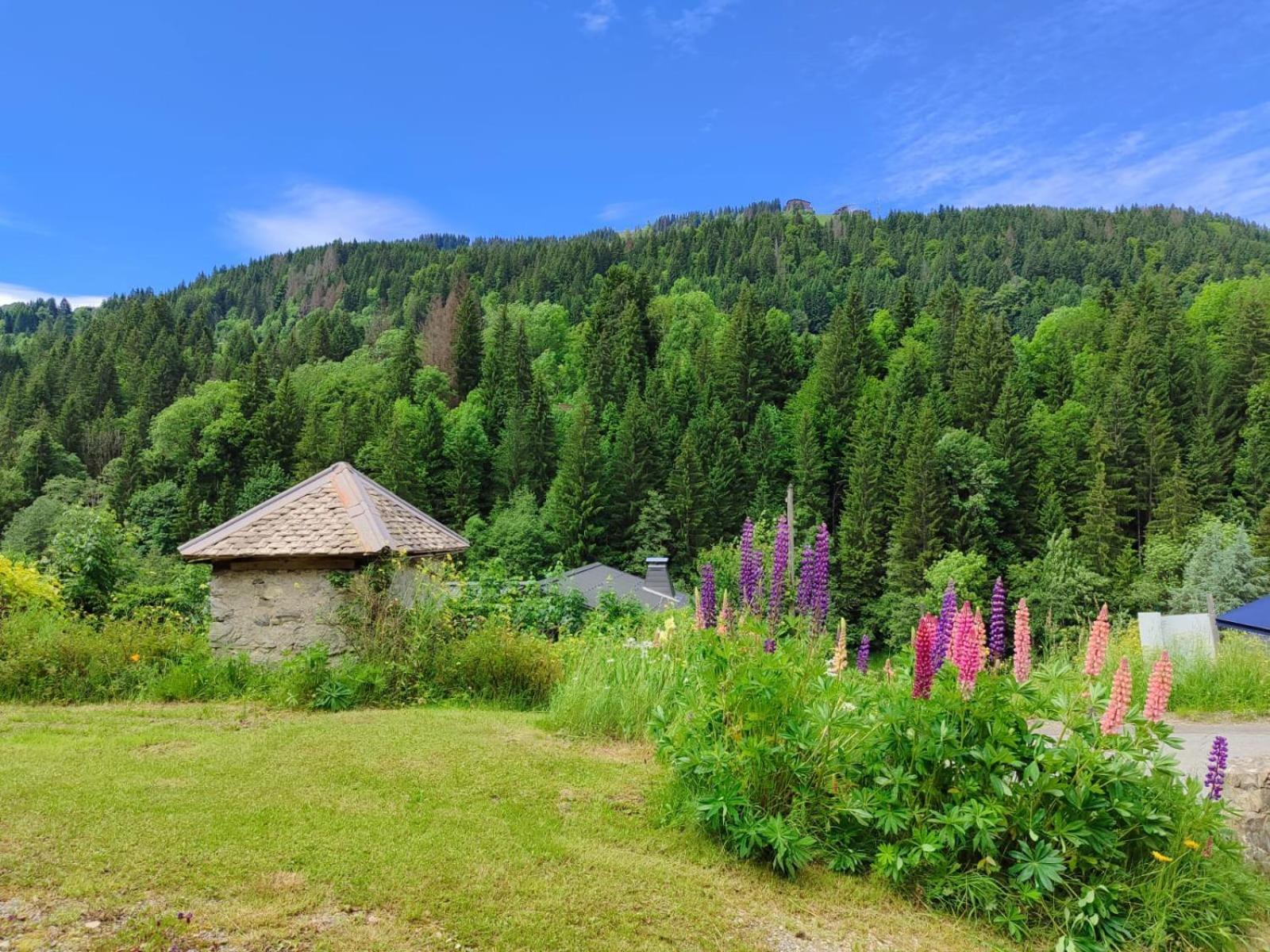 Appartement Meuble Classe 3 Etoiles De 72 M2, 2 Chambres Morzine Exteriér fotografie